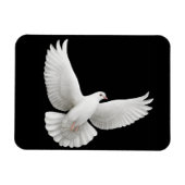 Solitaire White Dove Magnet Premium (Horizontal)