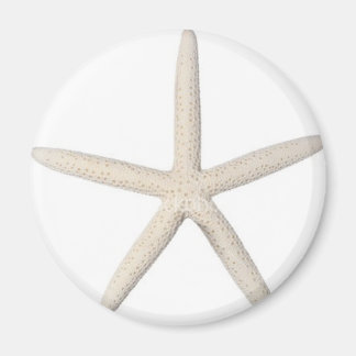 Solitaire zeester magneet