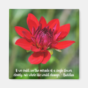 Solitary Red Dahlia Flower Wisley Motivatie Magneet