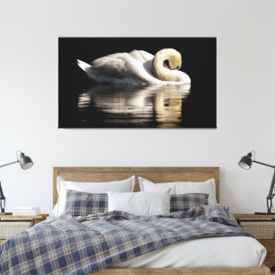 Solitary Swan Canvas Afdruk
