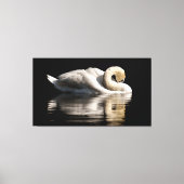 Solitary Swan Canvas Afdruk (Voorkant)