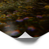 Solitary Tree Poster (Coin)