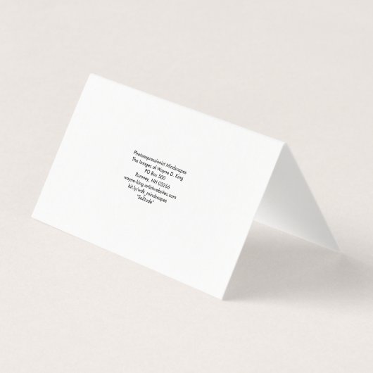 Solitude (Back)