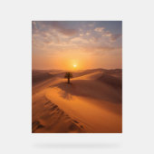 Solitude du désert - Dunes d'or au coucher du sole (Recto)