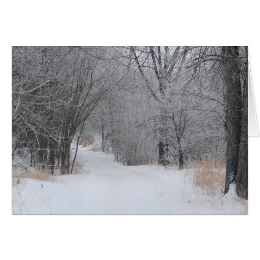 Solitude hivernale (Devant horizontal)