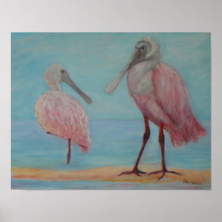 SOLLICITATIONS ROSEATE EN FLORIDE Poster
