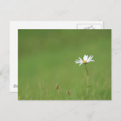 Solo Briefkaart (Voorkant / Achterkant)