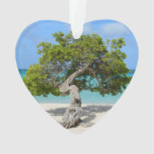 Solo Divi-boom in Aruba Ornament (achterkant)