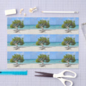 Solo Divi-boom in Aruba Tissuepapier (Craft)