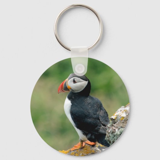 Solo Puffin Sleutelhanger (Voorkant)