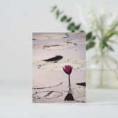 Solo-tus | Cambodja Briefkaart (Staand voorkant)