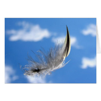 Solo-vlucht (licht als doezelaar)