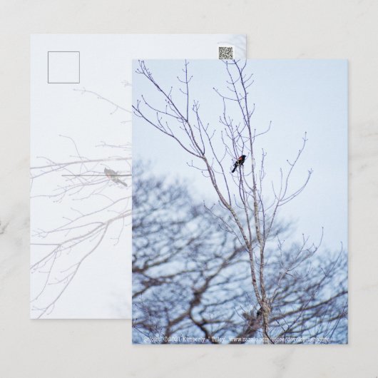 Soloïst Briefkaart (Voorkant / Achterkant)