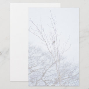 Soloïst Briefpapier