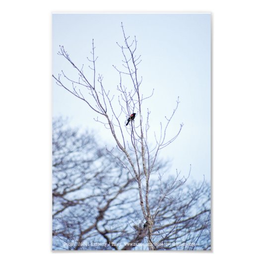 Soloïst Foto Afdruk (Voorkant)