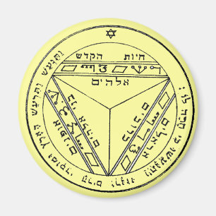 Solomon 17 magneet