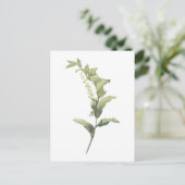 Solomon's zeehond (Polygonatum multiflorum) van Re Briefkaart (Staand voorkant)