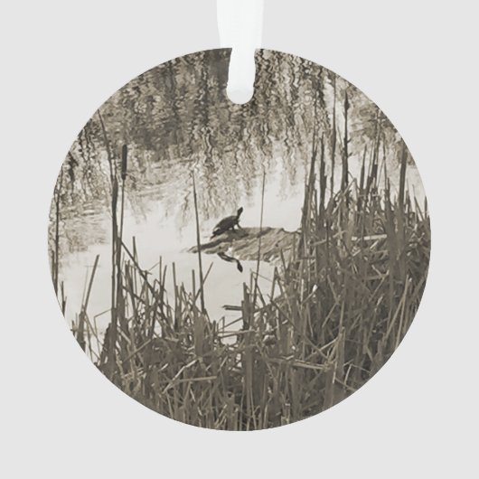 Solstice d'hiver (dos)