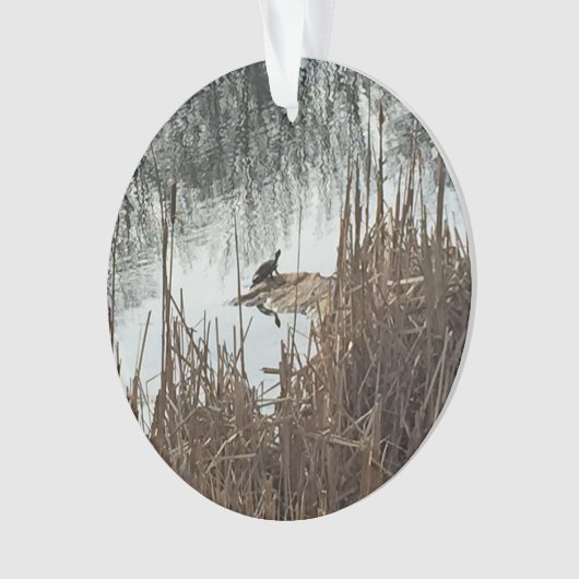 Solstice d'hiver (devant)