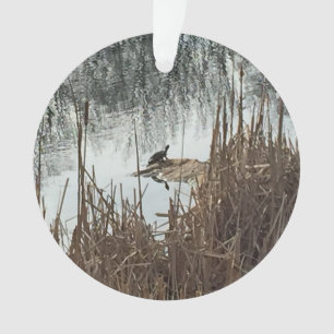 Solstice d'hiver