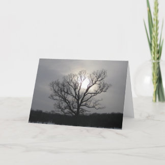 Solstice Sun I Kaart