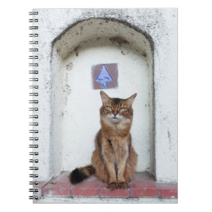 Somali Cat in Alcove Old World Scene Notitieboek