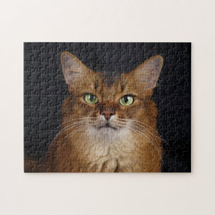 Somali Cat Photo Portrait Legpuzzel
