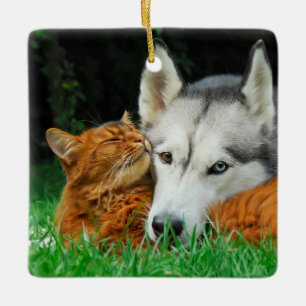 Somali Cat Siberian Husky Cute Friends Huddle Love Keramisch Ornament