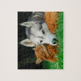 Somali Cat Siberian Husky Cute Friends Huddle Love Legpuzzel