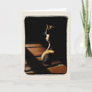 Somali Cat Silhouette Kaart