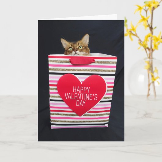 Somali kat in een Happy Valentijnsdagtas Kaart (Gele Bloem)