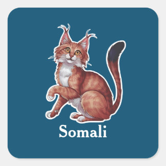 Somali Vierkante Sticker