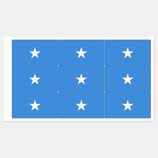 Somalia Flag Labels (Vel)