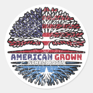 Somalië - Amerikaanse Amerikaanse Amerikaanse Amer Ronde Sticker