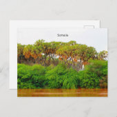 Somalië, landschapsfoto briefkaart (Voorkant / Achterkant)