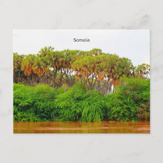 Somalië, landschapsfoto briefkaart (Voorkant)