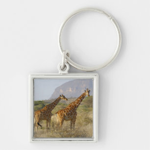 Somalische Giraffe, Geregelde Giraffe, Giraffa Sleutelhanger