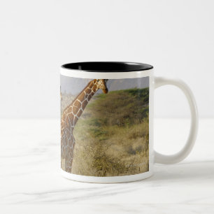 Somalische Giraffe, Geregelde Giraffe, Giraffa Tweekleurige Koffiemok