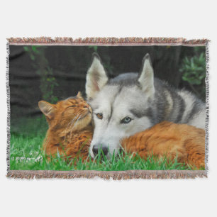 Somalische kat en Siberische Husky, schattige vrie Deken