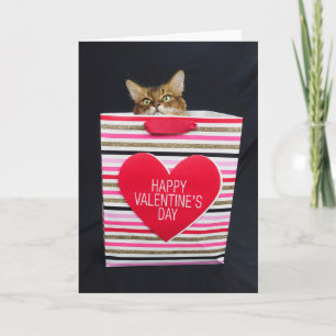 Somalische kat in een Happy Valentijnsdag tas Kaart