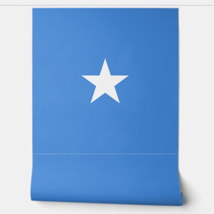 Somalische vlag behang