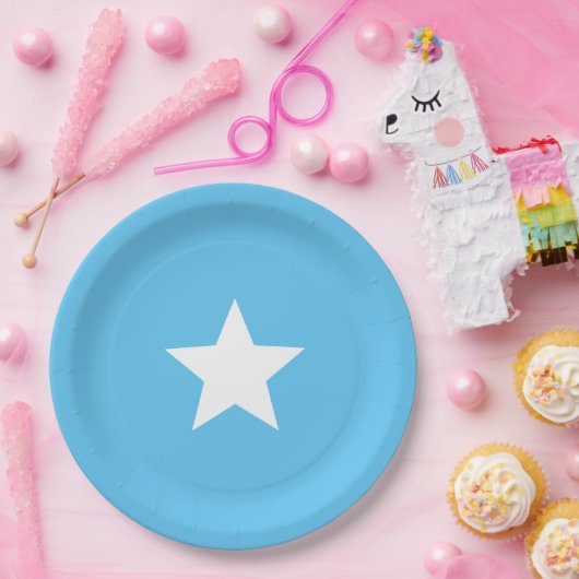 Somalische vlag papieren bordje (Feest)