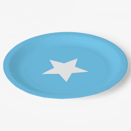Somalische vlag papieren bordje (Gekanteld)