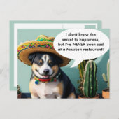 sombrero perro meme briefkaart (Voorkant / Achterkant)