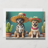 sombreros honden kaart (Voorkant)