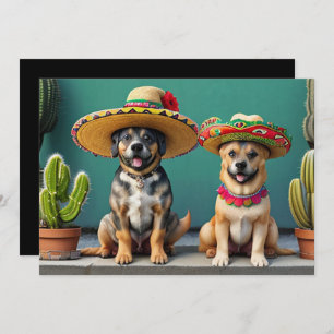 Sombreros Perros Kaart