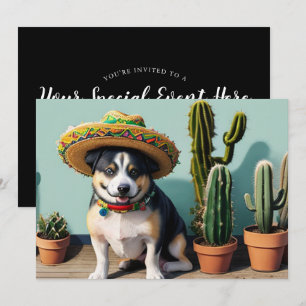 Sombreros Perros Kaart