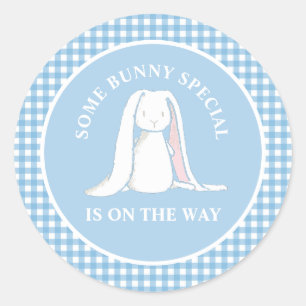 Some Bunny blauwe geruite baby shower Ronde Sticker