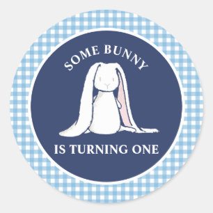 Some Bunny is One blauwe Gingham Verjaardag Ronde Sticker