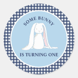 Some Bunny is One blauwe Gingham Verjaardag Ronde Sticker